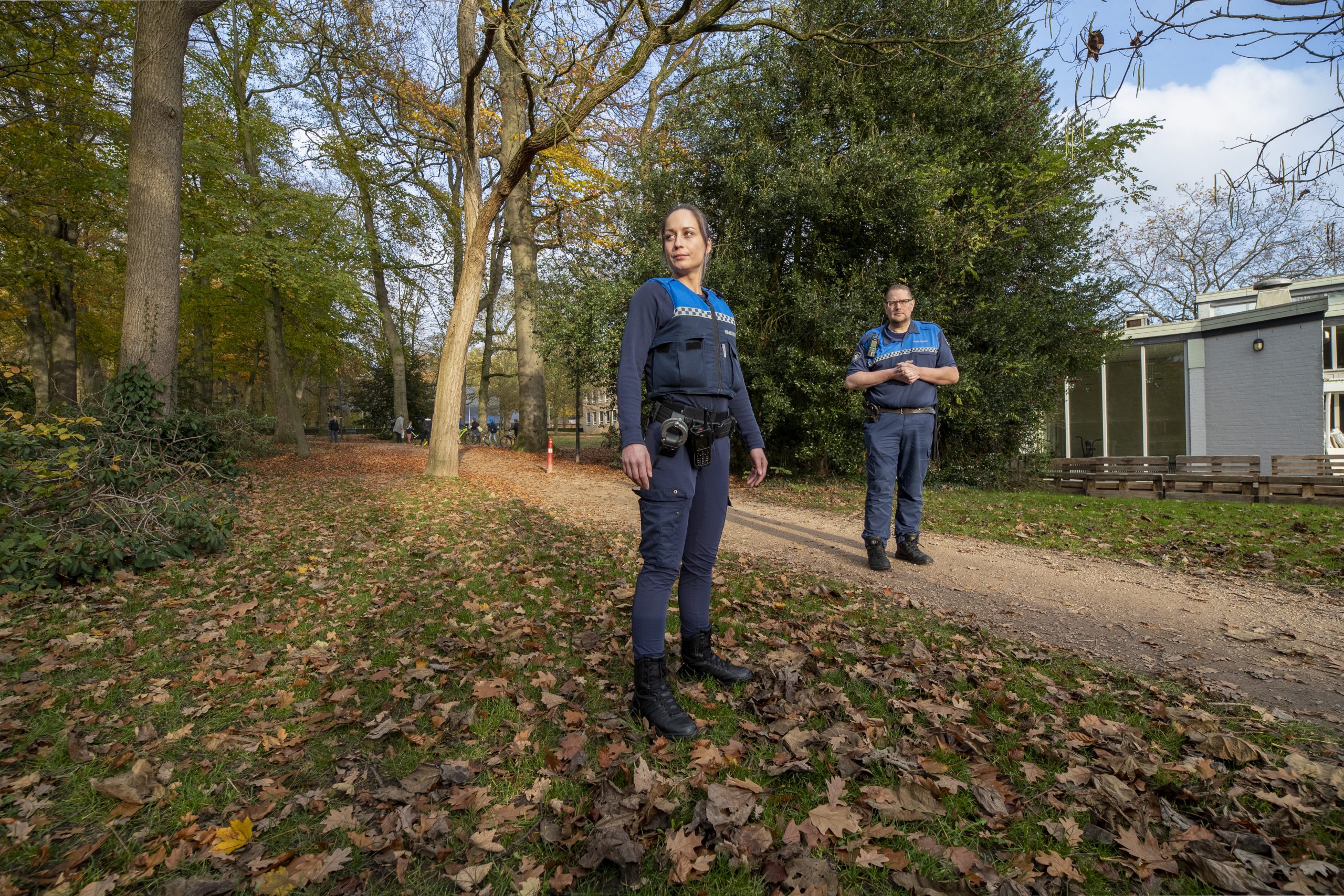 Twee boa's in een park.