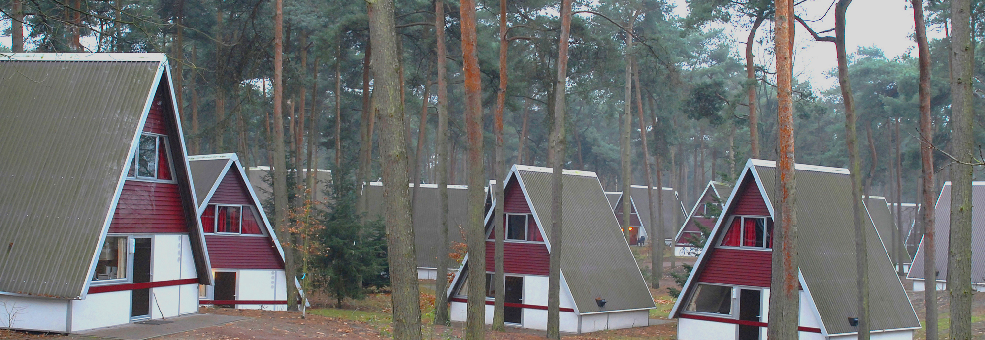 Foto van een vakantiepark. Ter illustratie van het CCV-dossier Veilige vakantieparken.
