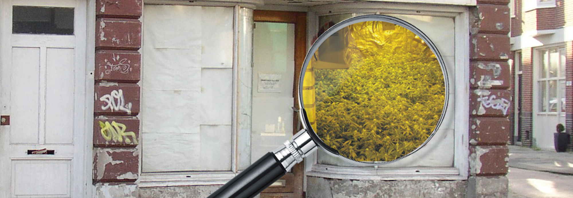Vergrootglas met wiet voor een huis. Ter illustratie van het CCV-dossier Georganiseerde criminaliteit en ondermijning.