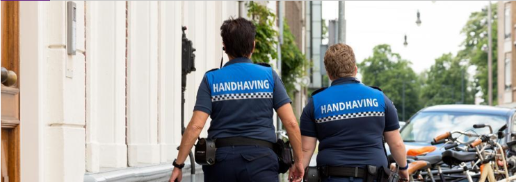 twee boa's op de rug gezien, lopen op straat.